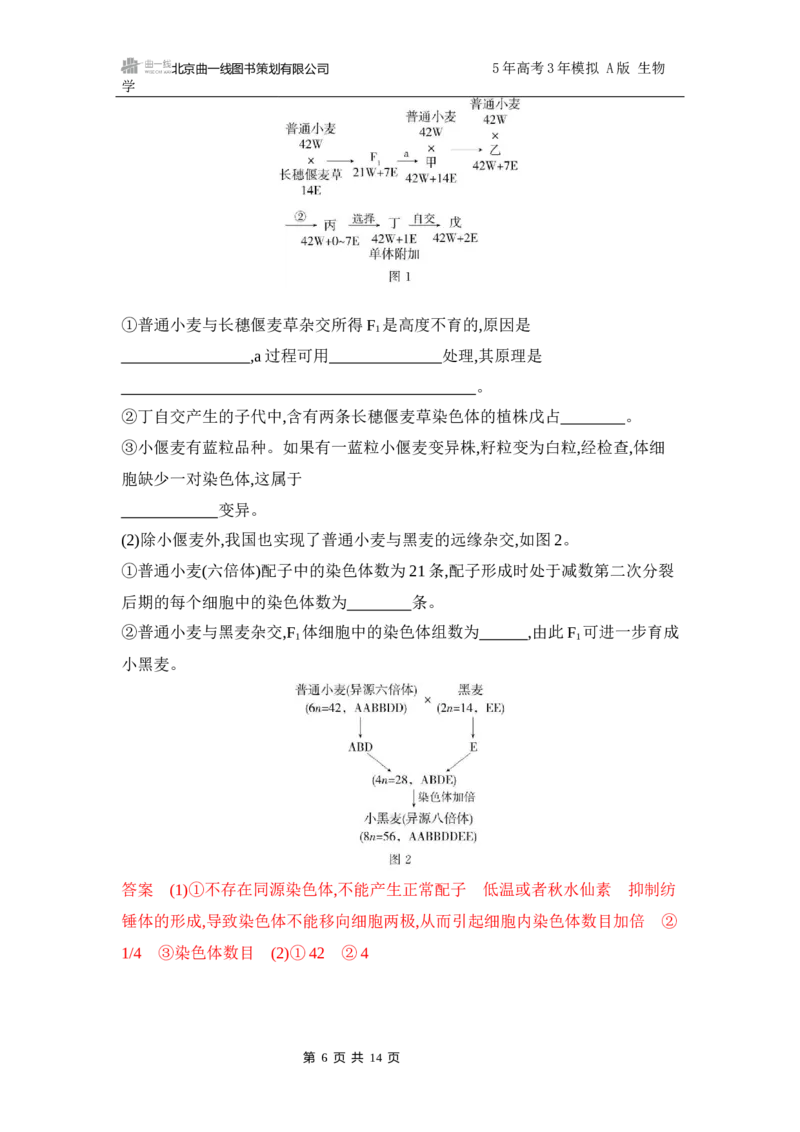 《1_专题过关检测练Word-第10章　基因突变及其他变异_2026版教学资源包_202653高考总复习A版_江苏版_2026版.江苏版.选考总复习.生物.5·3A版_第2部分遗传与进化_第10章基因突变及其他变异》第6页预览