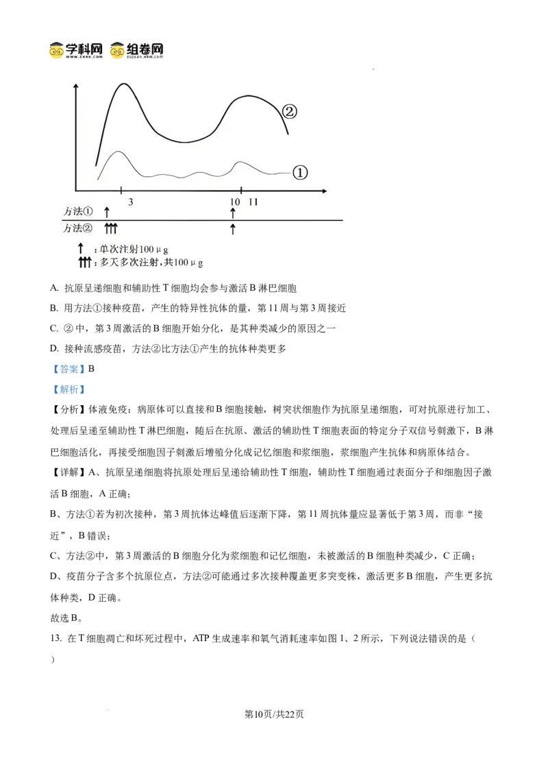 《2025高考重庆卷生物(解析版)(1)_高考一二三轮复习_生物_2027年高考生物专项_2008年-2026年生物高考真题-G427_2025年高考_2025年高考重庆卷生物高考真题解析(参考版)》第10页预览