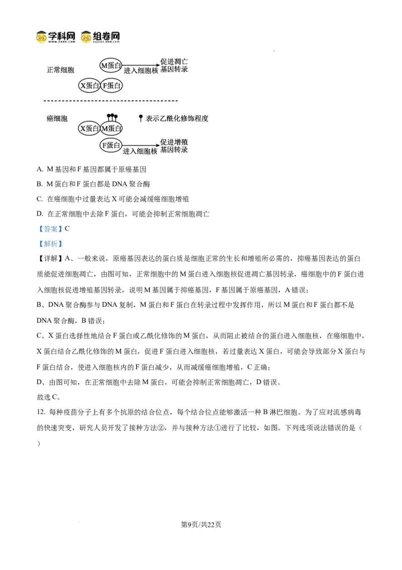 《2025高考重庆卷生物(解析版)(1)_高考一二三轮复习_生物_2027年高考生物专项_2008年-2026年生物高考真题-G427_2025年高考_2025年高考重庆卷生物高考真题解析(参考版)》第9页预览