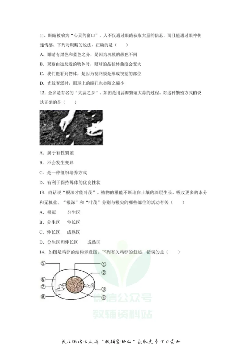 《2020山东济宁中考生物真题及答案_初高中资料库_初中资料库（转存避免链接过期失效）_初中生物》第4页预览