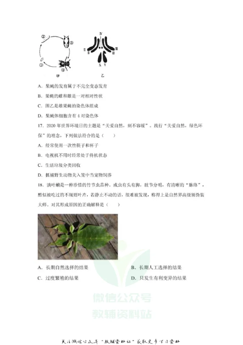 《2020山东济宁中考生物真题及答案_初高中资料库_初中资料库（转存避免链接过期失效）_初中生物》第6页预览