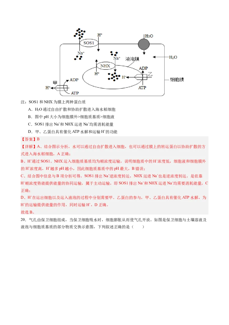 《第07讲物质运输（专项训练）（四川专用）（教师版）_高考一二三轮复习_生物_2026年高考生物一轮_2026年高考生物一轮课件+讲义+练习（四川专用）-G335》第10页预览