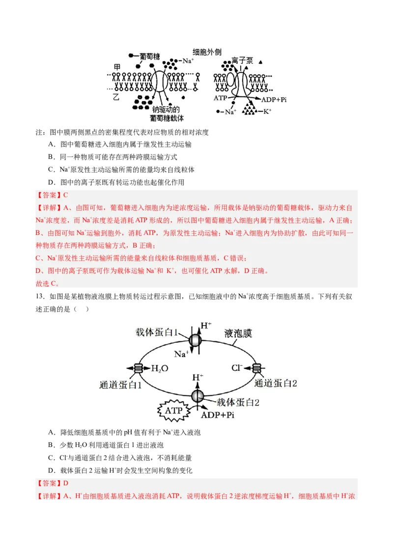 《第07讲物质运输（专项训练）（四川专用）（教师版）_高考一二三轮复习_生物_2026年高考生物一轮_2026年高考生物一轮课件+讲义+练习（四川专用）-G335》第7页预览