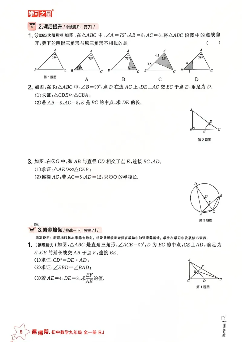 《九下主书及答案_2026秋初中教辅合集_2027学习之星_2027《学习之星•课课帮》9全数学（人教版）》第10页预览