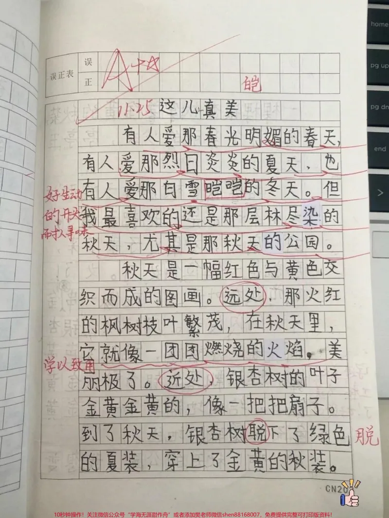 《三年级第六单元优秀作文《这儿真美》#知识分享#三年级#学习#作文#教育》第1页预览