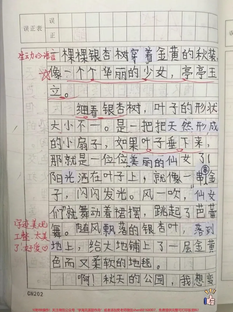 《三年级第六单元优秀作文《这儿真美》#知识分享#三年级#学习#作文#教育》第2页预览