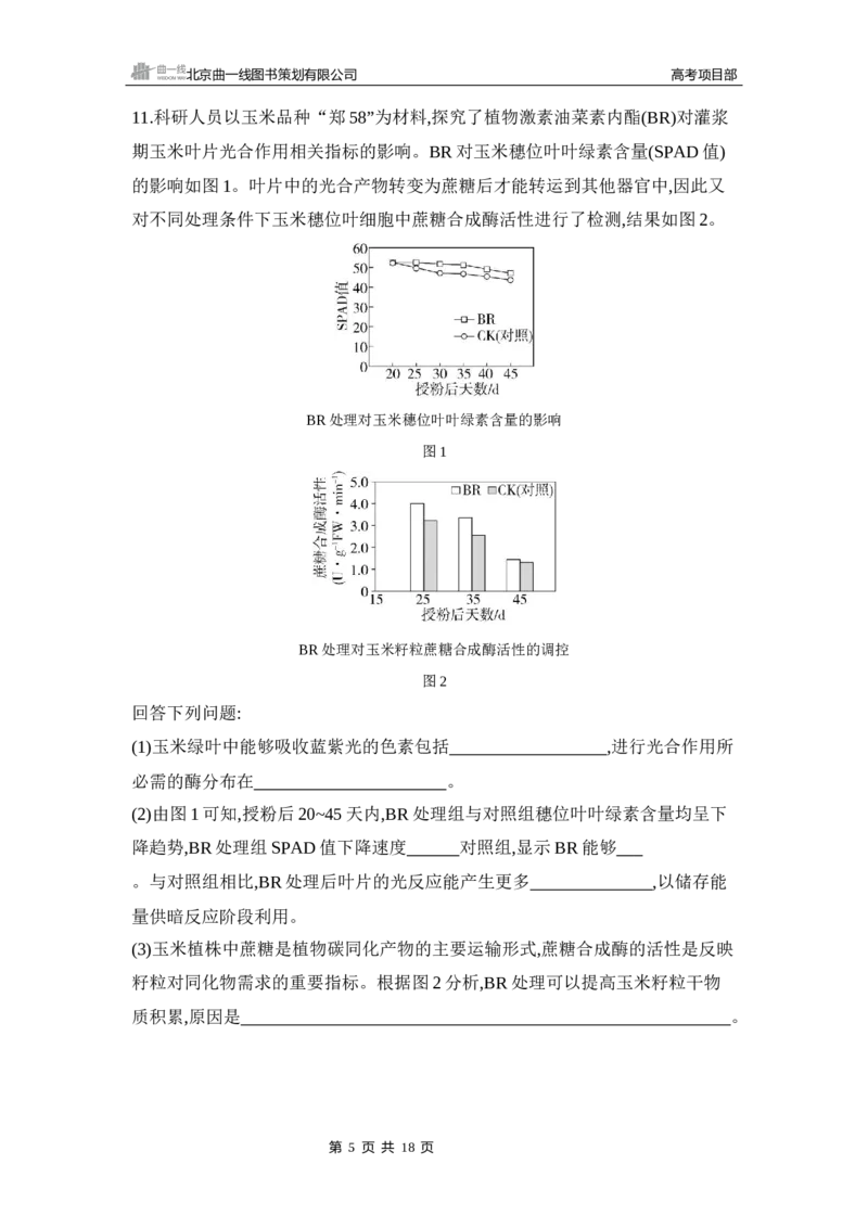 《1_专题过关检测练Word-第5章　细胞的能量供应和利用_2026版教学资源包_202653高考总复习A版_新高考_生物_教师A版2026年.新高考版.生物.53_第1部分分子与细胞_第5章细胞的能量供应和利用》第5页预览