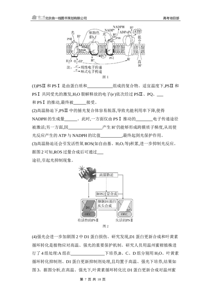 《1_专题过关检测练Word-第5章　细胞的能量供应和利用_2026版教学资源包_202653高考总复习A版_新高考_生物_教师A版2026年.新高考版.生物.53_第1部分分子与细胞_第5章细胞的能量供应和利用》第7页预览