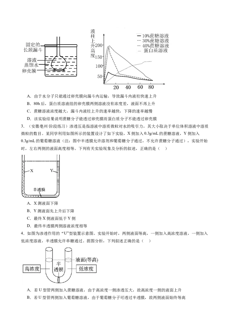 《第07讲水进出细胞的原理（专项训练）（安徽专用）（学生版）_高考一二三轮复习_生物_2026年高考生物一轮_2026年高考生物一轮课件+讲义+练习（安徽专用）-G326》第2页预览