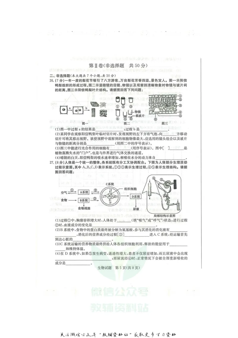 《2020山东滨州中考生物真题及答案_初高中资料库_初中资料库（转存避免链接过期失效）_初中生物》第5页预览