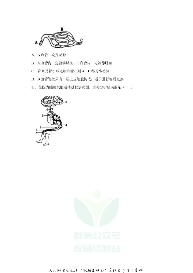 《2020山东菏泽中考生物真题及答案_初高中资料库_初中资料库（转存避免链接过期失效）_初中生物》第4页预览