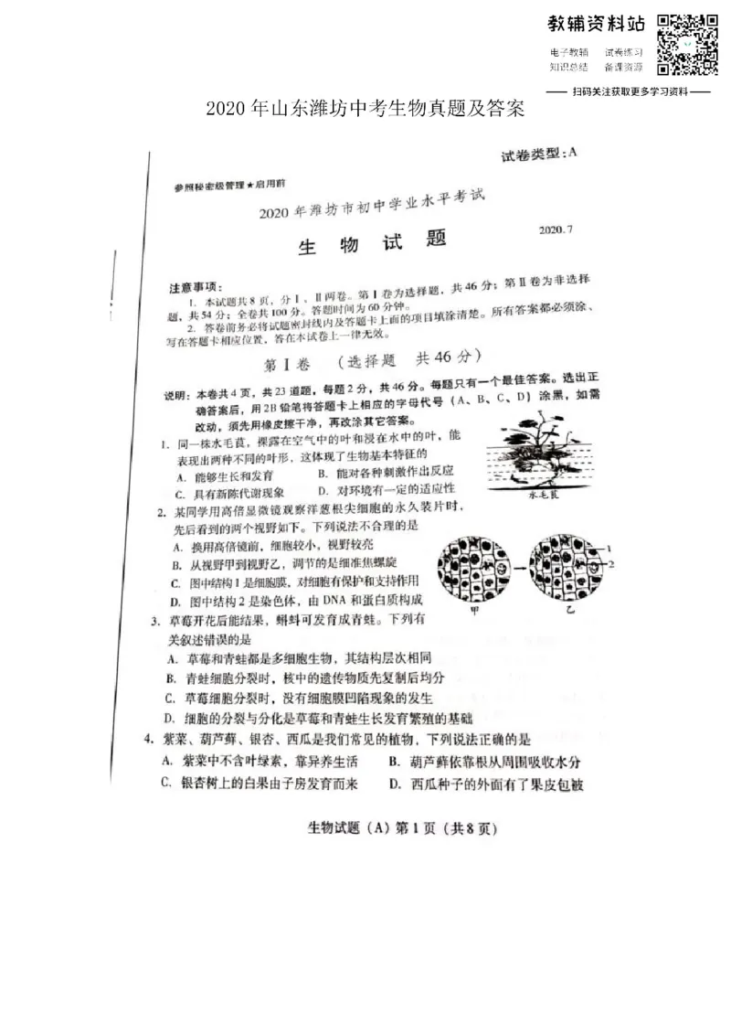 《2020山东潍坊中考生物真题及答案_初高中资料库_初中资料库（转存避免链接过期失效）_初中生物》第1页预览