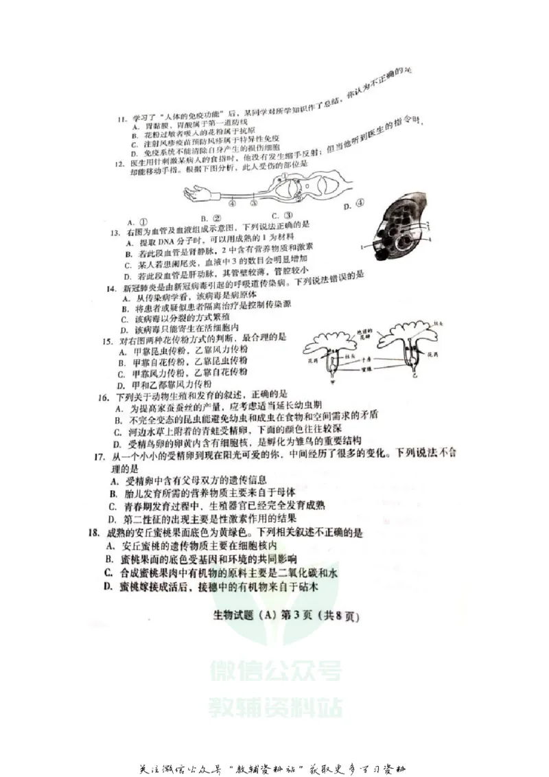 《2020山东潍坊中考生物真题及答案_初高中资料库_初中资料库（转存避免链接过期失效）_初中生物》第3页预览
