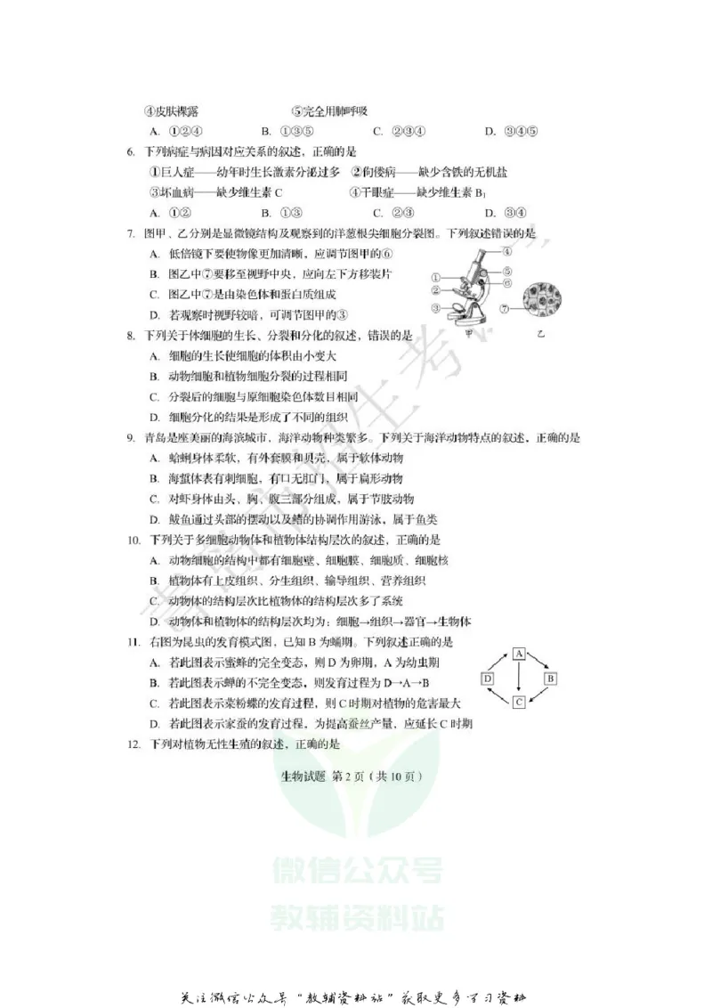 《2020山东青岛中考生物真题及答案_初高中资料库_初中资料库（转存避免链接过期失效）_初中生物》第2页预览