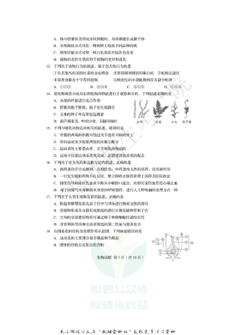 《2020山东青岛中考生物真题及答案_初高中资料库_初中资料库（转存避免链接过期失效）_初中生物》第3页预览