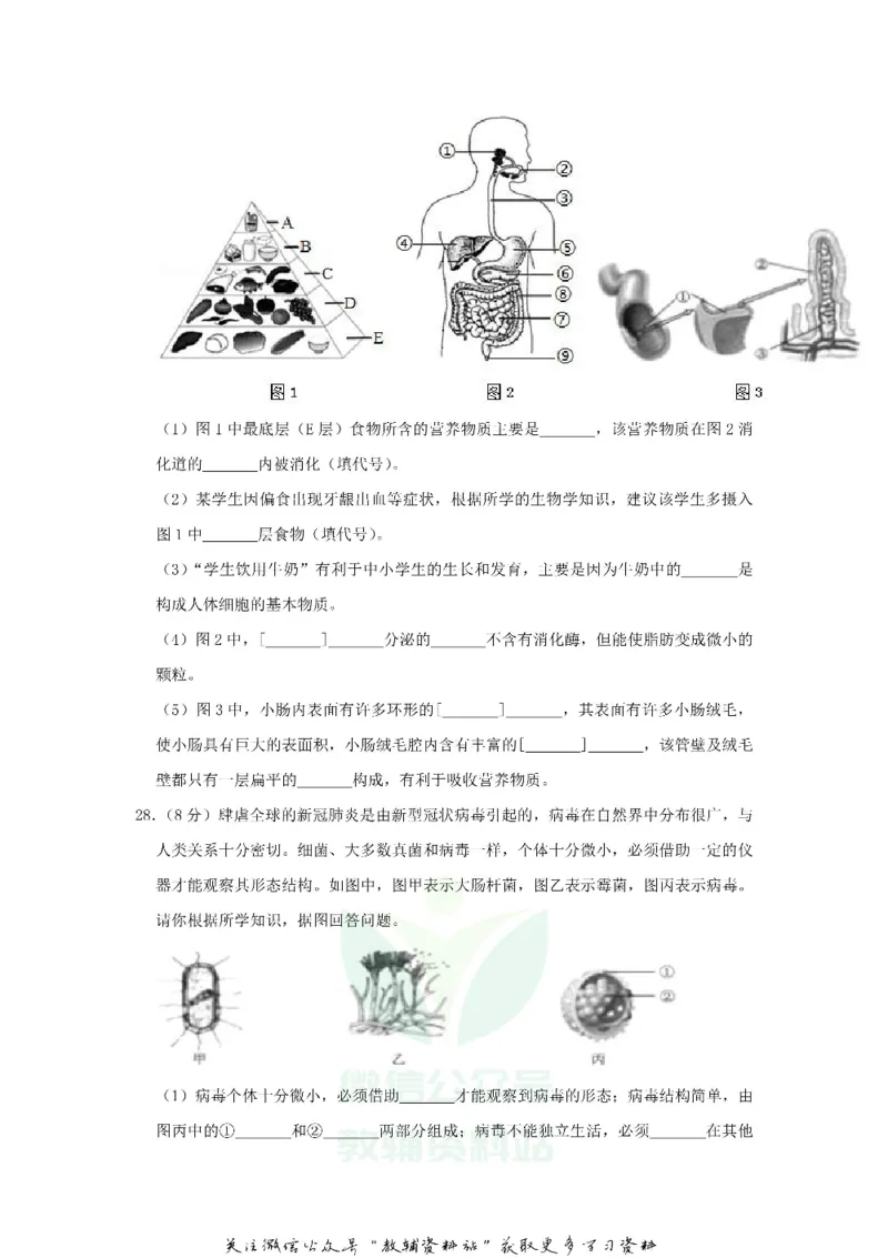 《2020山东省聊城市中考生物真题及答案_初高中资料库_初中资料库（转存避免链接过期失效）_初中生物》第8页预览