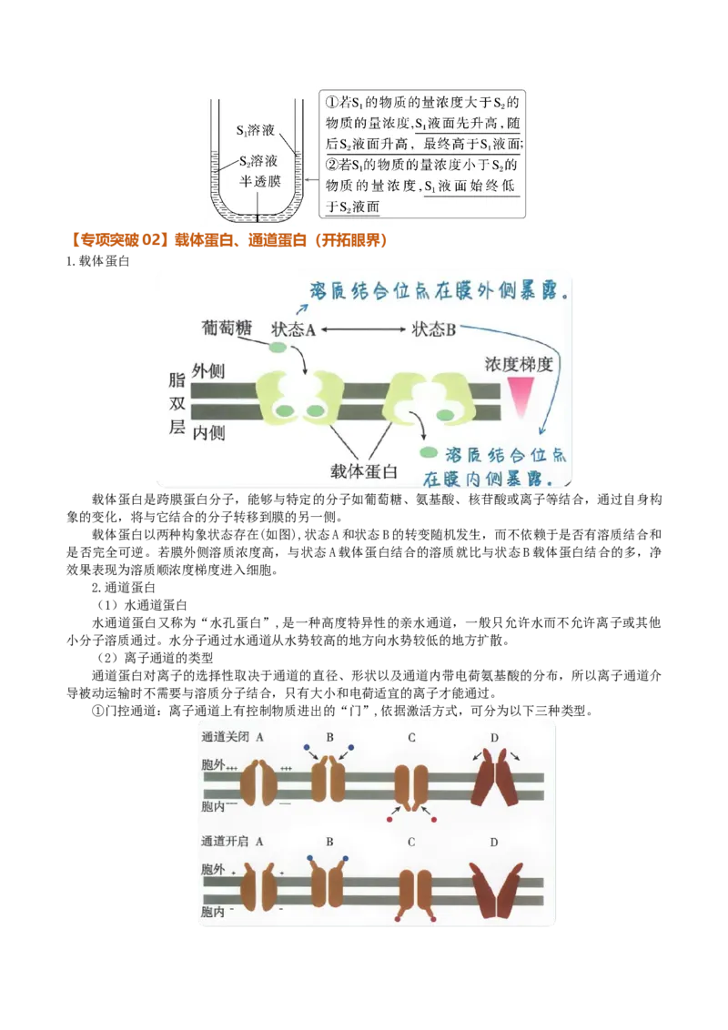 《第07讲物质运输（知识清单）（全国通用）（学生版）_高考一二三轮复习_生物_2027年高考生物一轮_2027年高考生物一轮复习知识清单（全国通用）-G56_2027版》第9页预览