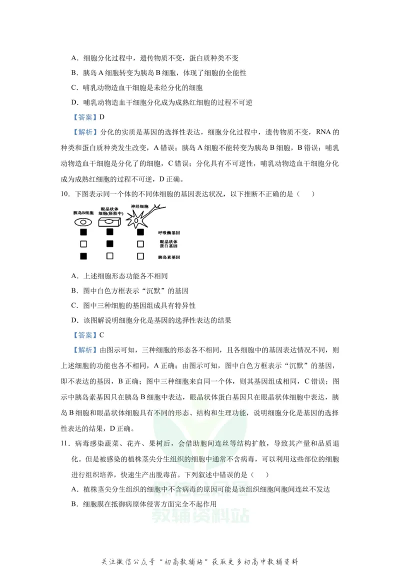 《2021届（新高考）高三全科专题练习系列Ⅰ：7细胞的生命历程_高三全科专题练习系列_生物》第6页预览