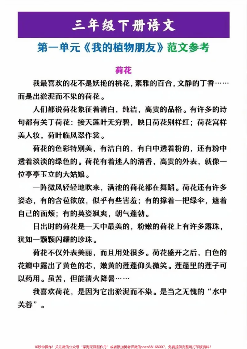 《三年级下册语文第一单元同步作文参考范文#小学语文#语文#教育#学习#同步作文》第2页预览