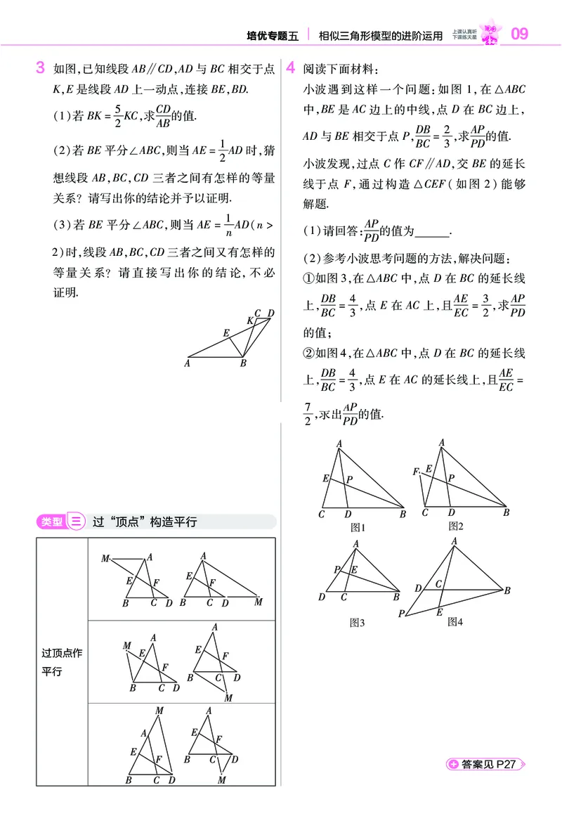 《培优专题训练（第三章图形的相似）_2026秋初中教辅合集_2027一遍过_2026《一遍过》9上_2027《天星教育•一遍过》9上数学（北师版）》第2页预览