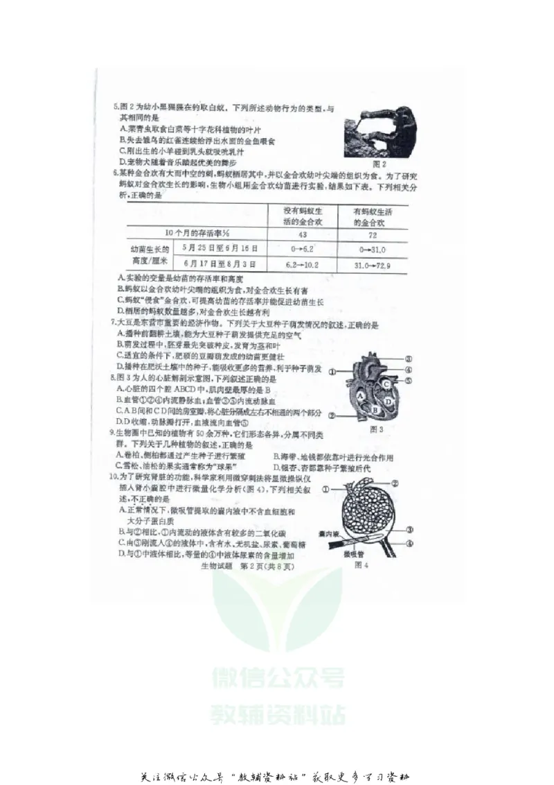 《2020山东东营中考生物真题及答案_初高中资料库_初中资料库（转存避免链接过期失效）_初中生物》第2页预览