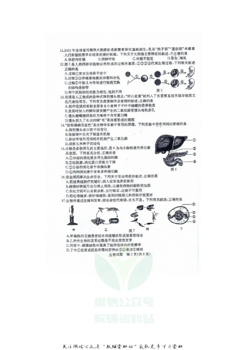 《2020山东东营中考生物真题及答案_初高中资料库_初中资料库（转存避免链接过期失效）_初中生物》第3页预览