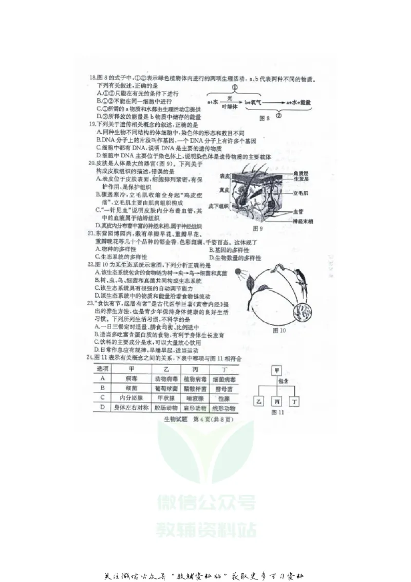 《2020山东东营中考生物真题及答案_初高中资料库_初中资料库（转存避免链接过期失效）_初中生物》第4页预览