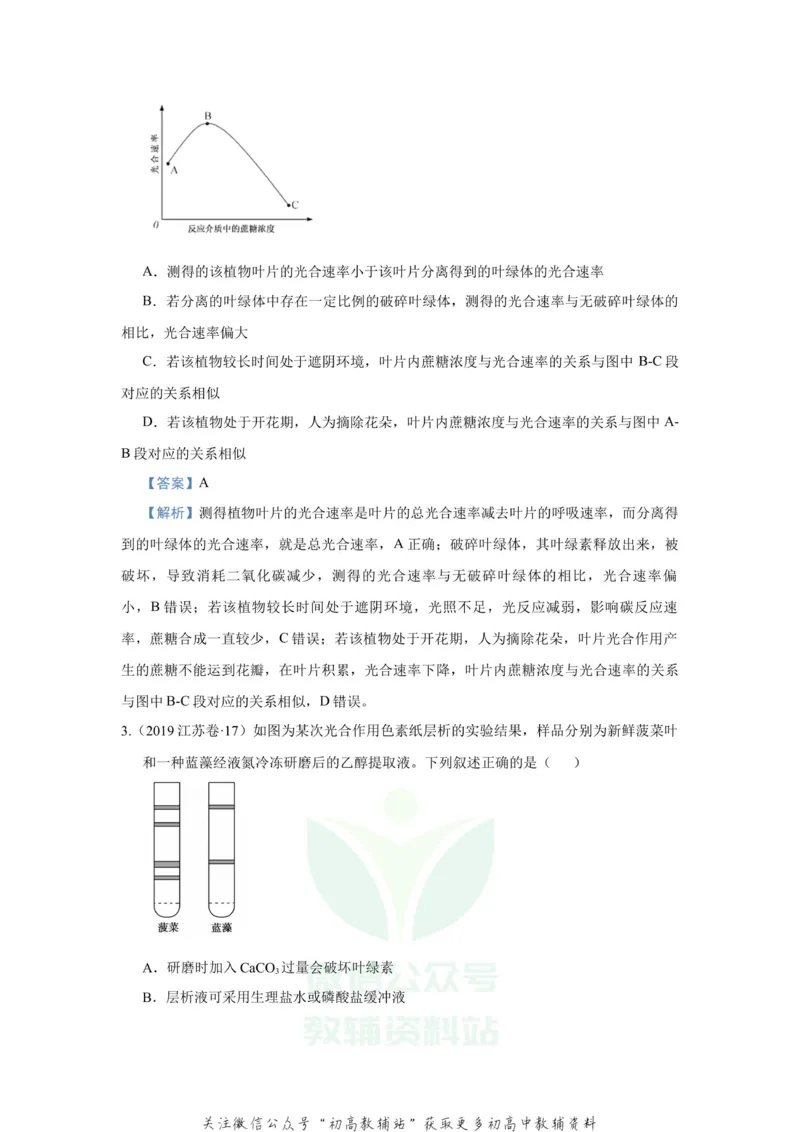 《2021届（新高考）高三全科专题练习系列Ⅰ：6光合作用_高三全科专题练习系列_生物》第2页预览