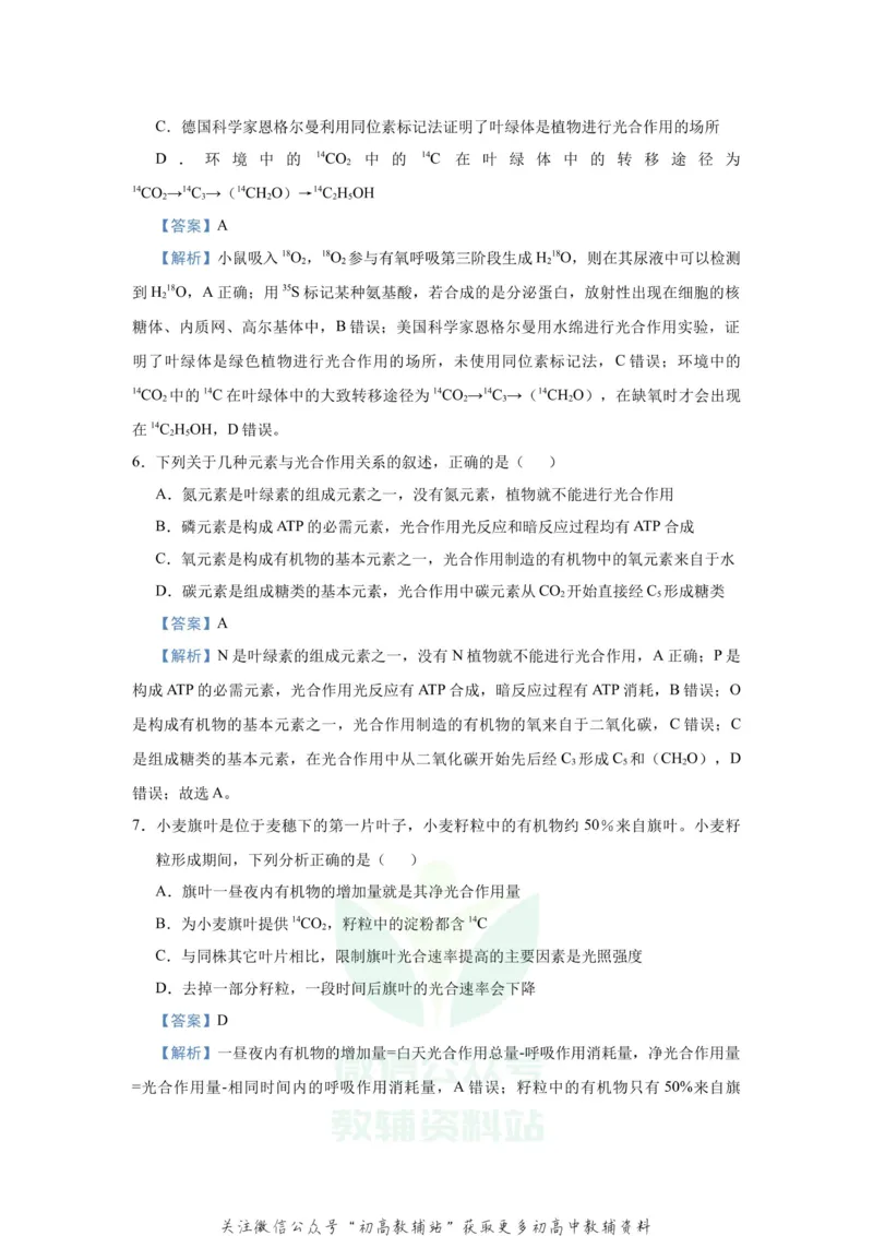 《2021届（新高考）高三全科专题练习系列Ⅰ：6光合作用_高三全科专题练习系列_生物》第5页预览