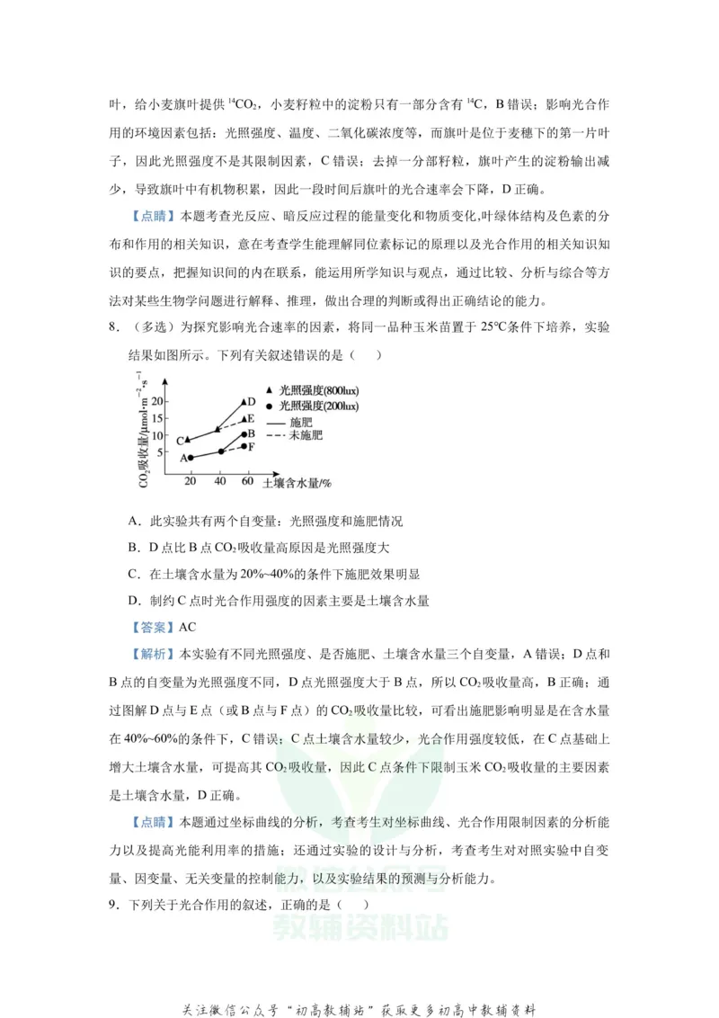 《2021届（新高考）高三全科专题练习系列Ⅰ：6光合作用_高三全科专题练习系列_生物》第6页预览