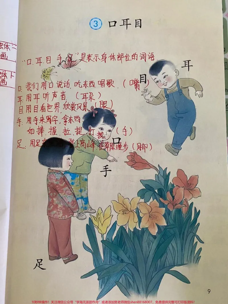 《一年级上语文,1~4课详细笔记,家长收藏》第4页预览