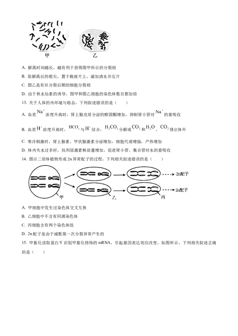 《2025高考江苏卷生物真题试卷（原卷版）(1)_高考一二三轮复习_生物_2027年高考生物专项_2008年-2026年生物高考真题-G427_2025年高考_2025年高考江苏卷生物高考真题解析（参考版）》第4页预览