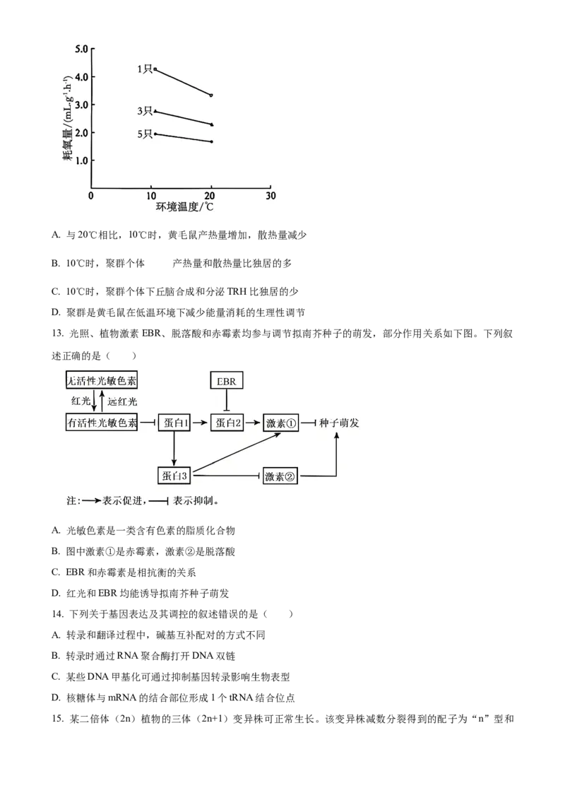 《2025年黑龙江、吉林、辽宁、内蒙古高考生物真题试卷（原卷版）(1)_高考一二三轮复习_生物_2027年高考生物专项_2008年-2026年生物高考真题-G427_2025年高考》第4页预览