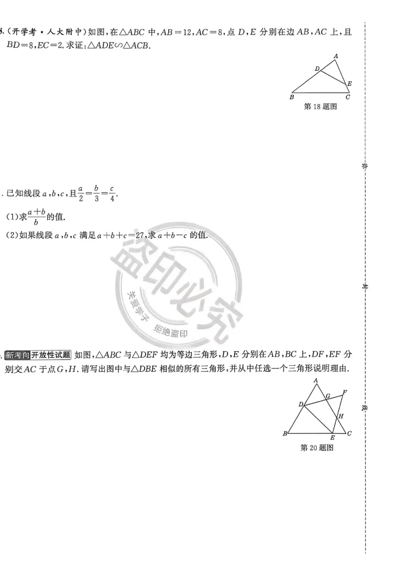《主书_2026秋初中教辅合集_2027《真题圈•练考试卷》9全数学（北京）》第4页预览