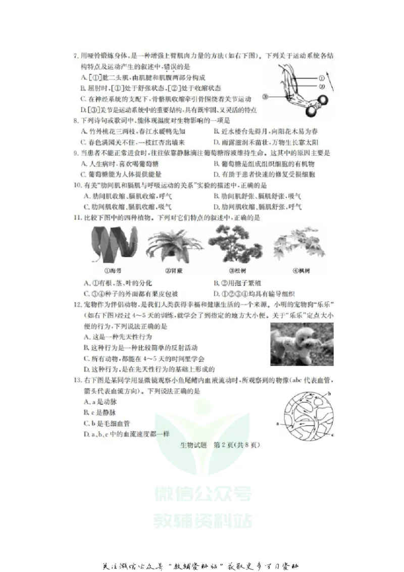 《2020山东德州中考生物真题及答案_初高中资料库_初中资料库（转存避免链接过期失效）_初中生物》第2页预览