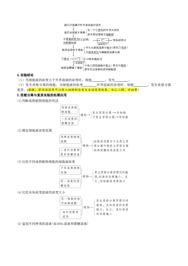 《第07讲物质运输（复习讲义）（全国通用）（学生版）_高考一二三轮复习_生物_2026年高考生物一轮_2026年高考生物一轮复习讲义+练习+课件（新教材新高考）-G55_2026版》第8页预览