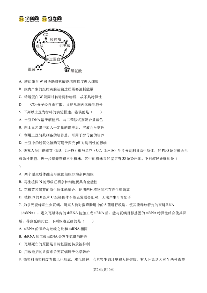 《2025高考四川卷生物真题试卷(原卷版)(1)_高考一二三轮复习_生物_2027年高考生物专项_2008年-2026年生物高考真题-G427_2025年高考_2025年高考四川卷生物高考真题解析(参考版)》第2页预览