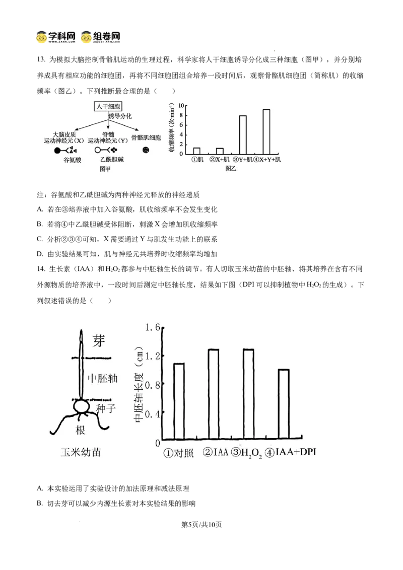 《2025高考四川卷生物真题试卷(原卷版)(1)_高考一二三轮复习_生物_2027年高考生物专项_2008年-2026年生物高考真题-G427_2025年高考_2025年高考四川卷生物高考真题解析(参考版)》第5页预览