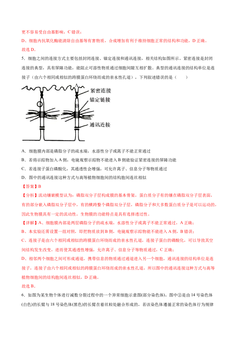 《仿真模拟预测卷02（新高考通用）（解析版）_高考一二三轮复习_生物_生物三轮冲刺_大题精做冲刺2025年高考生物大题突破+限时集训（新高考通用）》第4页预览