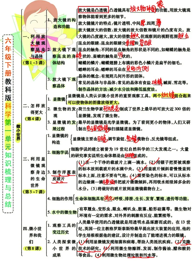 《小学6年级下科学JK版高分知识梳理导图，附单元考点背记_6年级下册同步教辅_6下-语文_六下语文专项练习》第1页预览