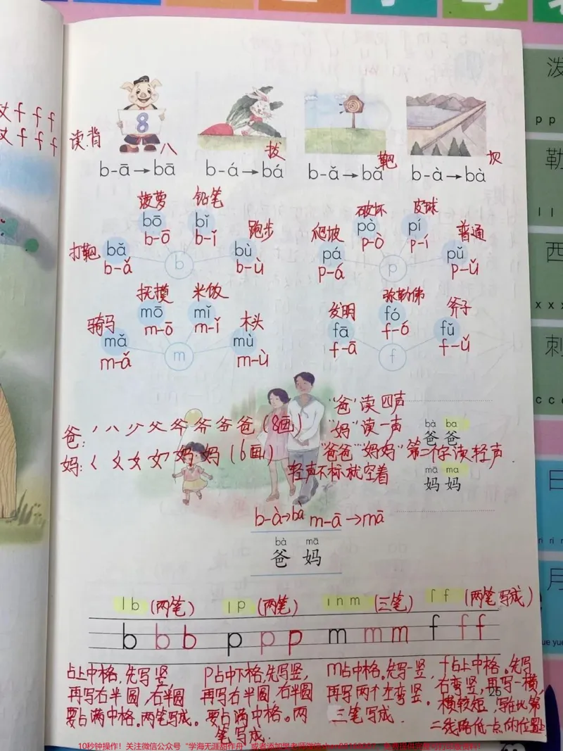 《一年级上册语文第二三单元《汉语拼音》详细笔记》第6页预览