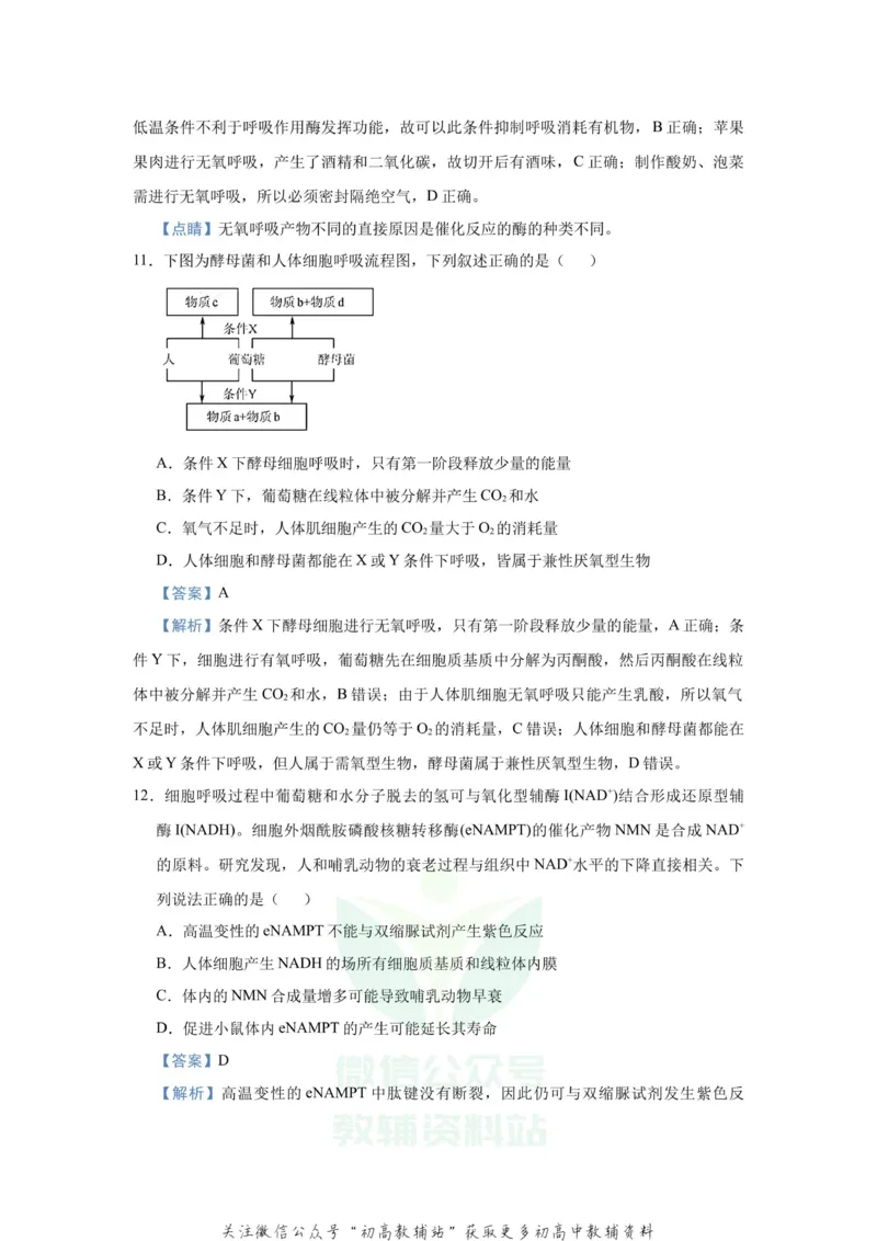 《2021届（新高考）高三全科专题练习系列Ⅰ：5细胞呼吸的原理及其应用_高三全科专题练习系列_生物》第7页预览