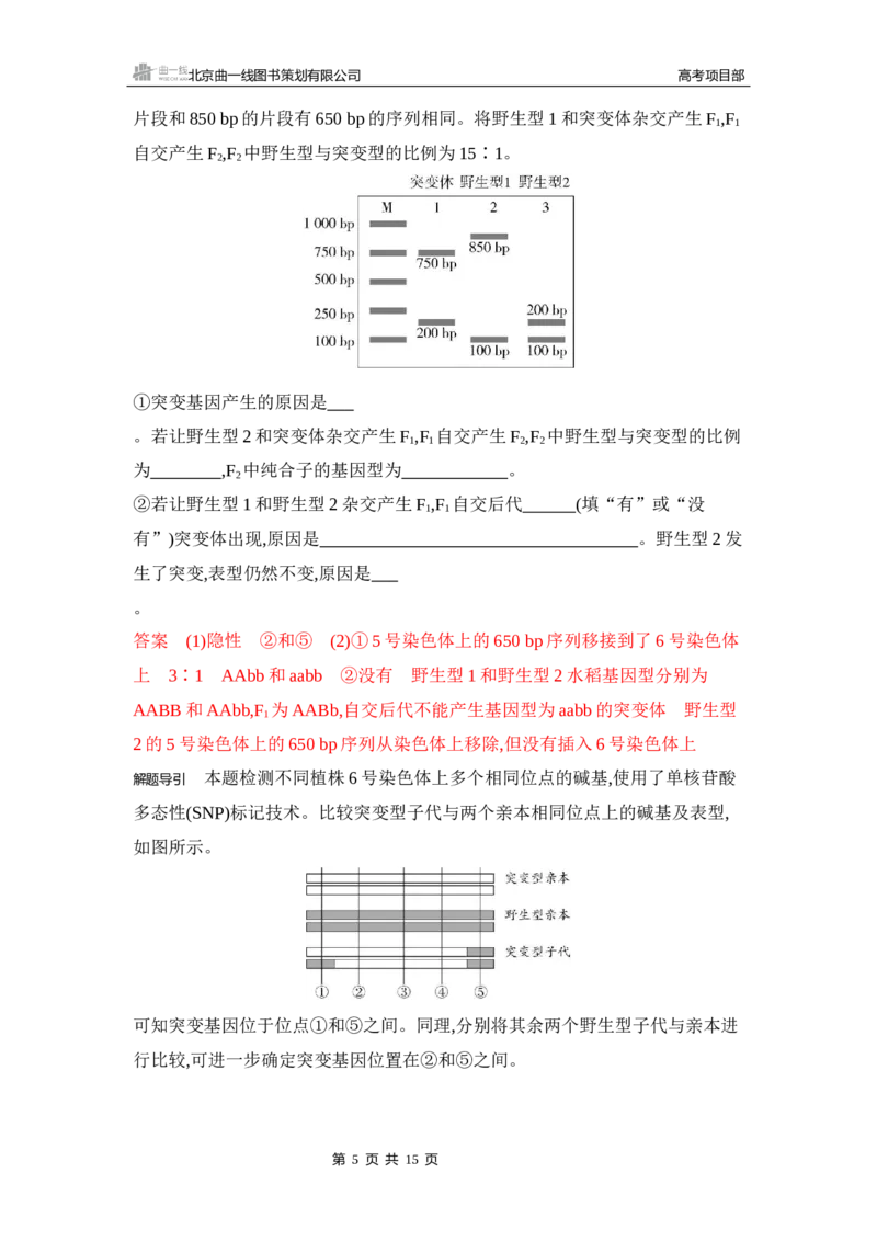 《1_专题过关检测练Word-第11章　基因突变及其他变异_2026版教学资源包_202653高考总复习A版_新高考_生物_教师A版2026年.新高考版.生物.53_第2部分遗传与进化_第11章基因突变及其他变异》第5页预览