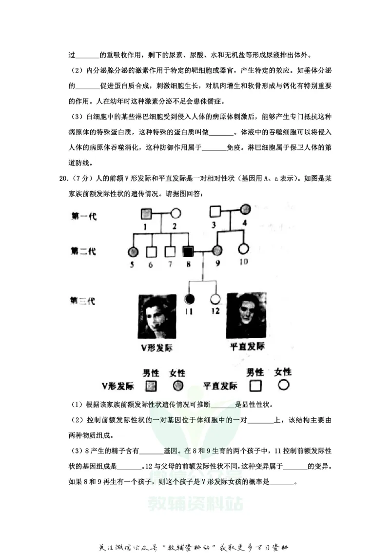 《2020山东省泰安市中考生物真题及答案_初高中资料库_初中资料库（转存避免链接过期失效）_初中生物》第7页预览