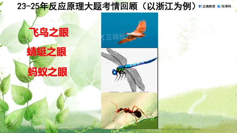《化学-浙江肖中荣《化学反应原理复习教学的深度思考》(1)_2026版高中《二三轮复习+冲刺复习》》第3页预览