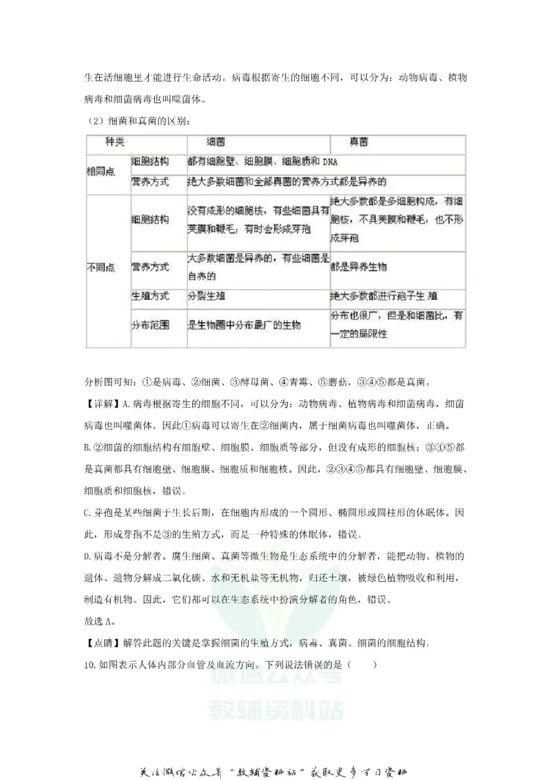 《2020山东省菏泽市中考生物真题及答案_初高中资料库_初中资料库（转存避免链接过期失效）_初中生物》第8页预览