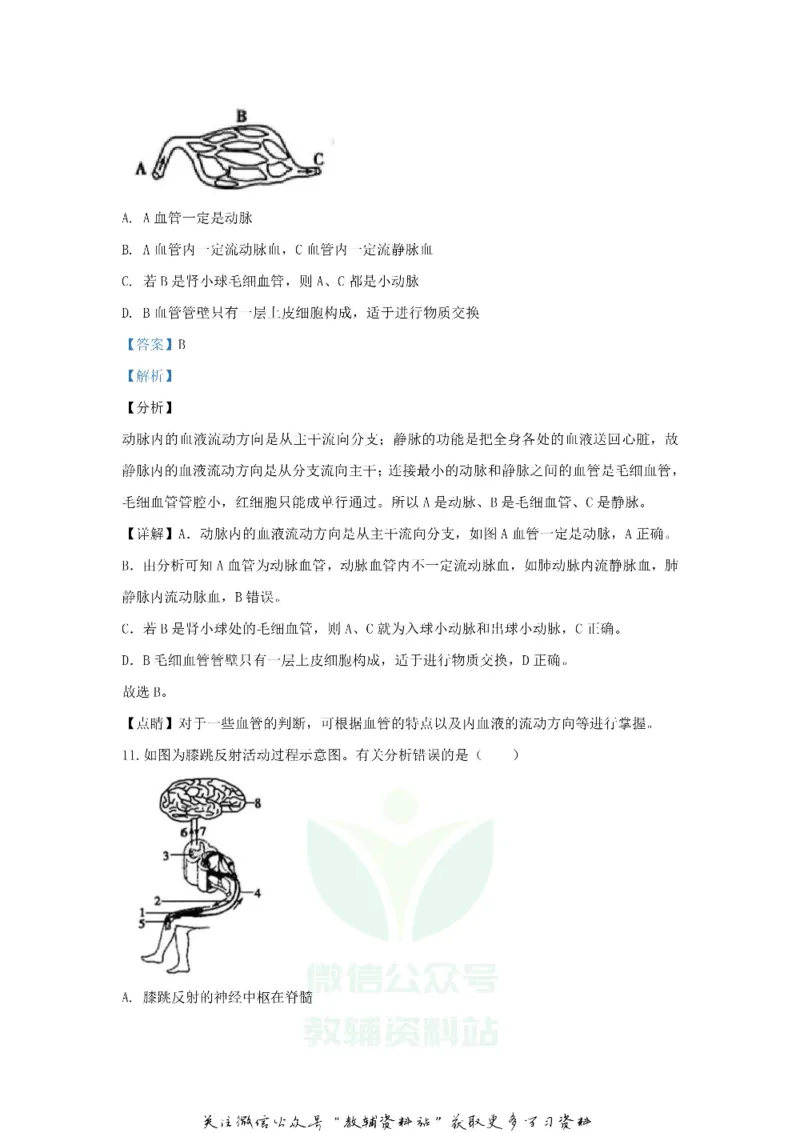 《2020山东省菏泽市中考生物真题及答案_初高中资料库_初中资料库（转存避免链接过期失效）_初中生物》第9页预览