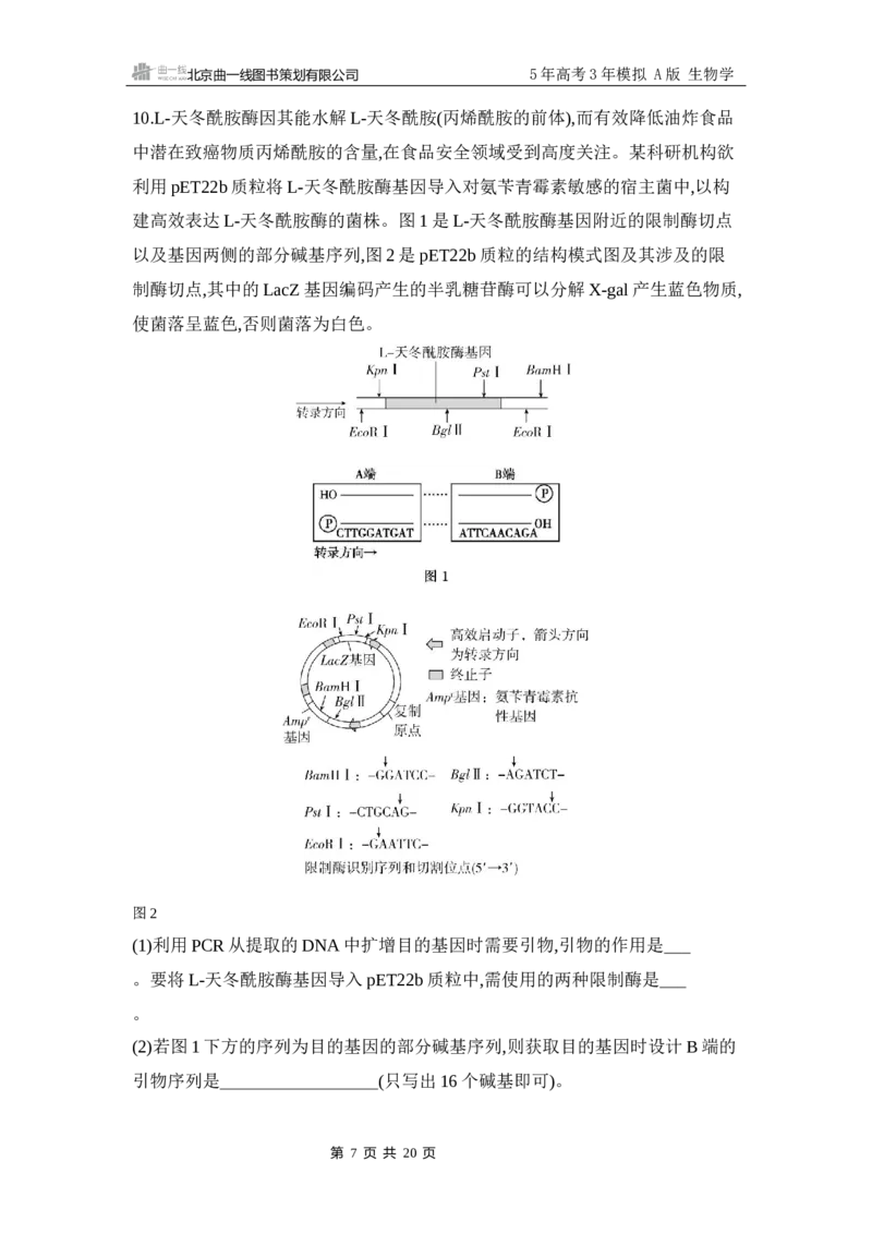 《1_专题过关检测练Word-第23章　基因工程_2026版教学资源包_202653高考总复习A版_江苏版_2026版.江苏版.选考总复习.生物.5·3A版_第5部分生物技术与工程_第23章基因工程_6_专题检测》第7页预览