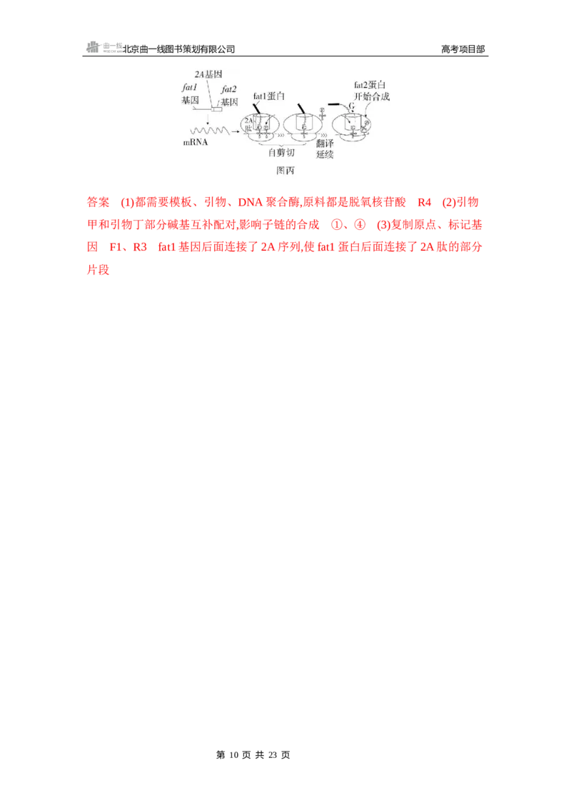 《1_专题过关检测练Word-第24章　基因工程_2026版教学资源包_202653高考总复习A版_新高考_生物_教师A版2026年.新高考版.生物.53_第5部分生物技术与工程_第24章基因工程_6_专题检测》第10页预览