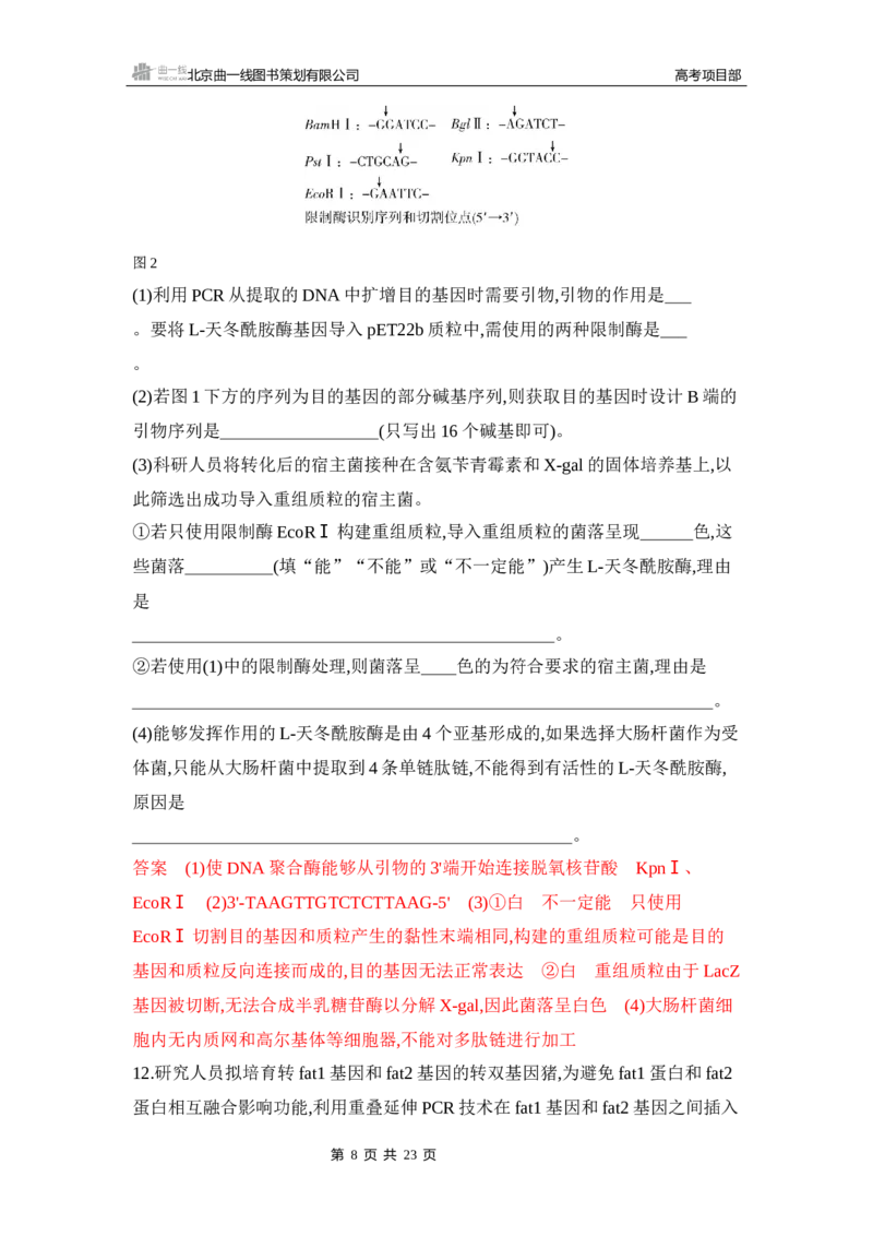 《1_专题过关检测练Word-第24章　基因工程_2026版教学资源包_202653高考总复习A版_新高考_生物_教师A版2026年.新高考版.生物.53_第5部分生物技术与工程_第24章基因工程_6_专题检测》第8页预览